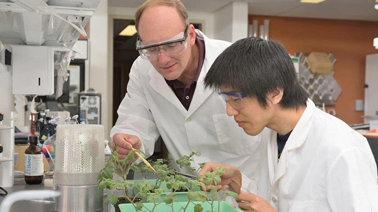 A professor gestures to a plant while teaching an environmental biology student. Both wear lab coats and safety glasses.
